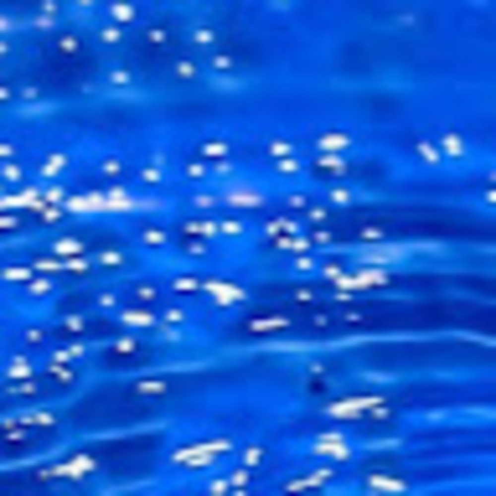 Meet your Posher, Sammy